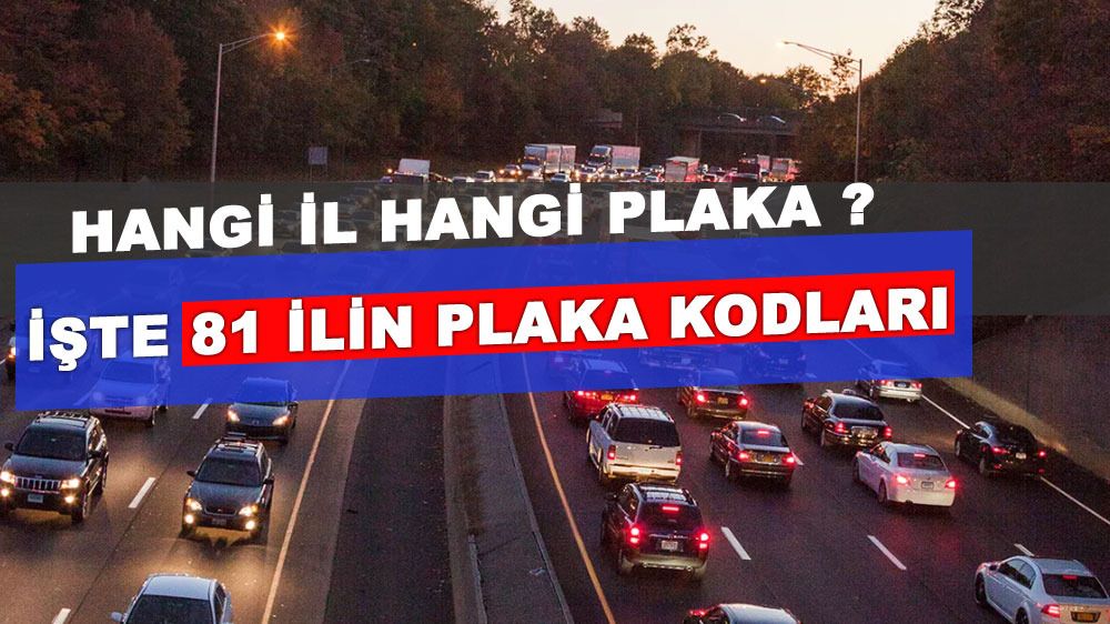 05 hangi ilin plaka kodu?