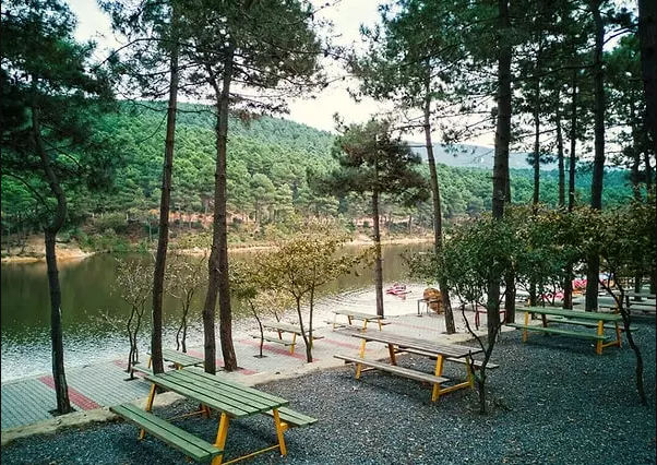 Aydos Ormanı