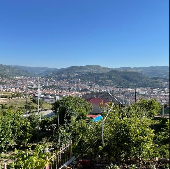Şahin Tepesi
