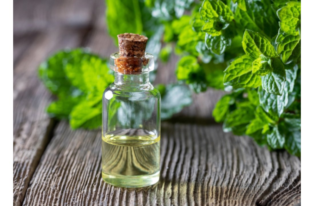 Nane Yağı Nasıl Yapılır ?