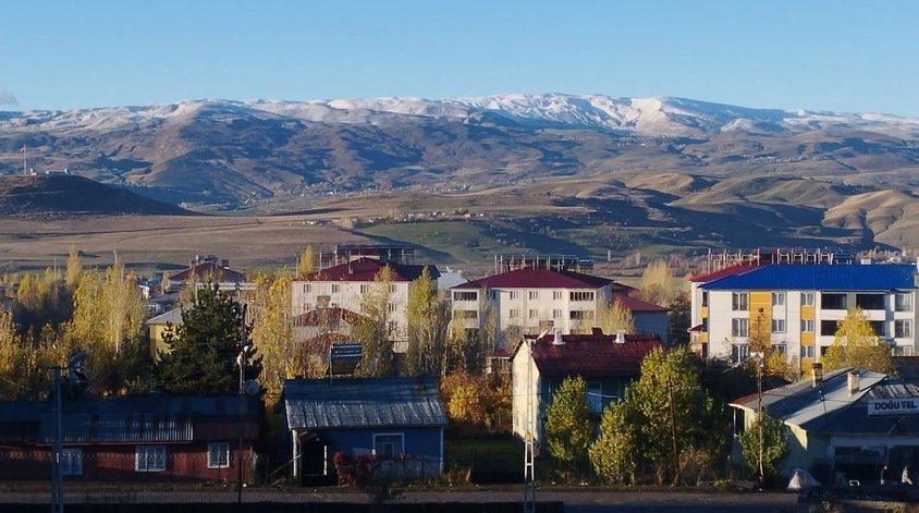 Varto