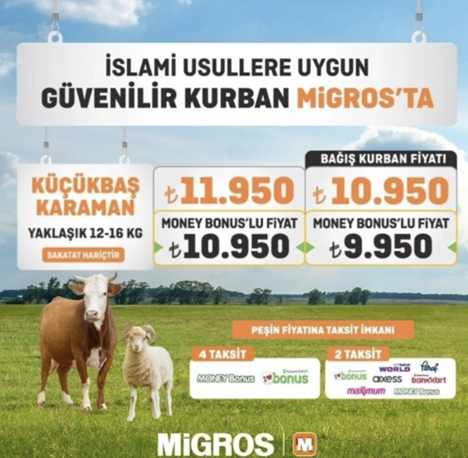 Migros Kurban Fiyatları