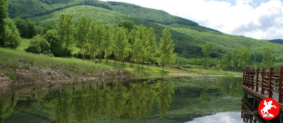 Ekran Resmi 2025 05 06 15.06.45