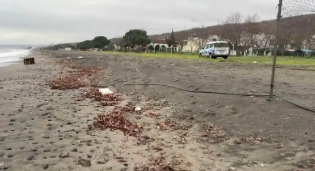 Samsun Sahilinde Kıyıya Vuran Rusça Yazılı Gizemli Sandık (3)