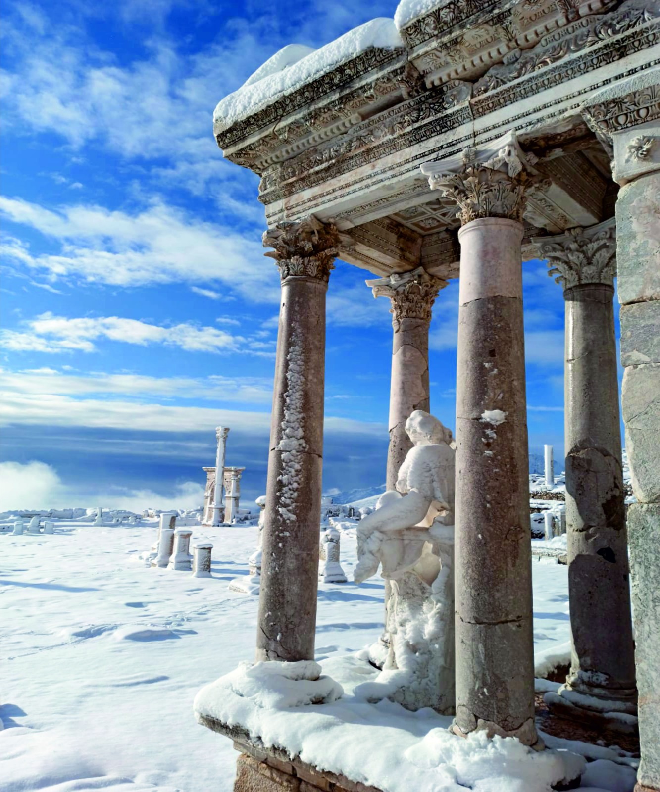 Whatsapp Image 2026 01 12 At 15.14.53