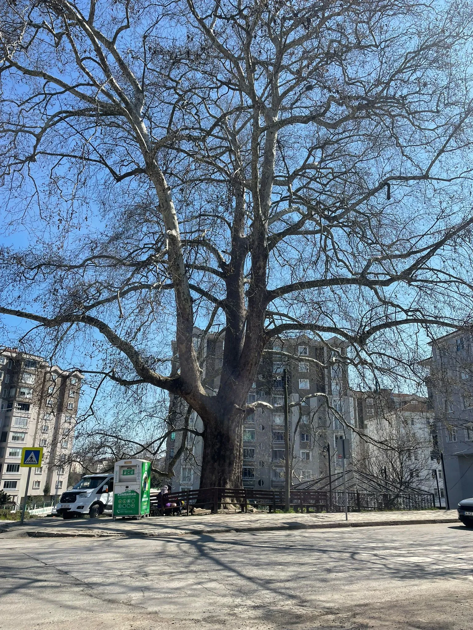 Whatsapp Image 2026 04 01 At 171459