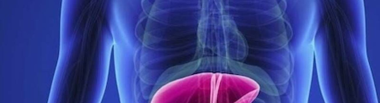 Yeni Araştırmaya Göre Karaciğer Kanseri Vakalarının Yüzde 60’ı Önlenebilir! İşte Uyarılar